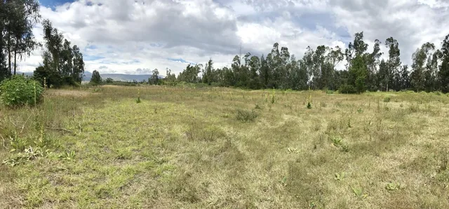 Terrenos de Venta Desde 978 m² en Puembo $115 C/m² (A 7 Min del Club Arrayanes) — imagen 4