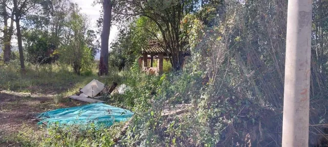 Terreno en Venta Sector Las Acacias Tumbaco — imagen 3
