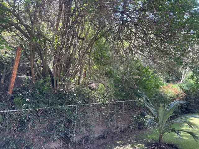 Terreno en Cumbayá — imagen 2