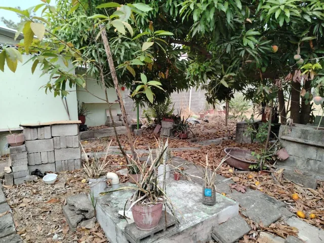 Terreno de Venta Vía a La Costa Chongon, Guayas — imagen 2