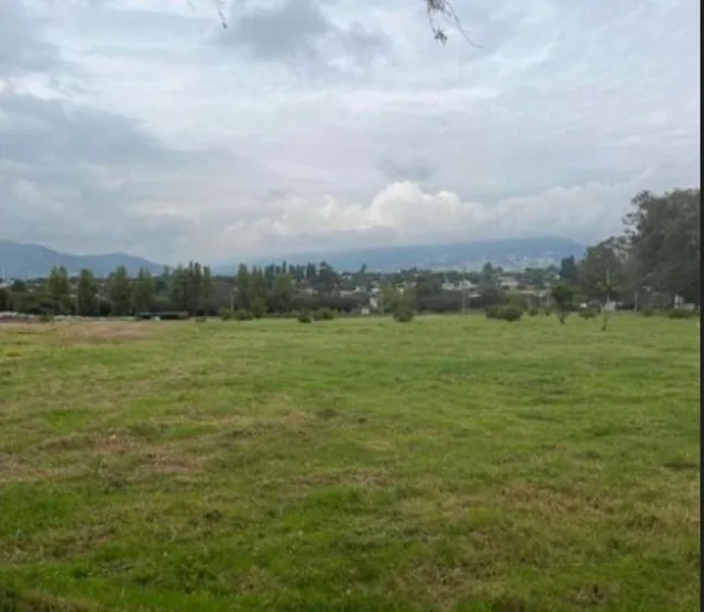 Venta Terreno en Tumbaco Hilacril — imagen 5