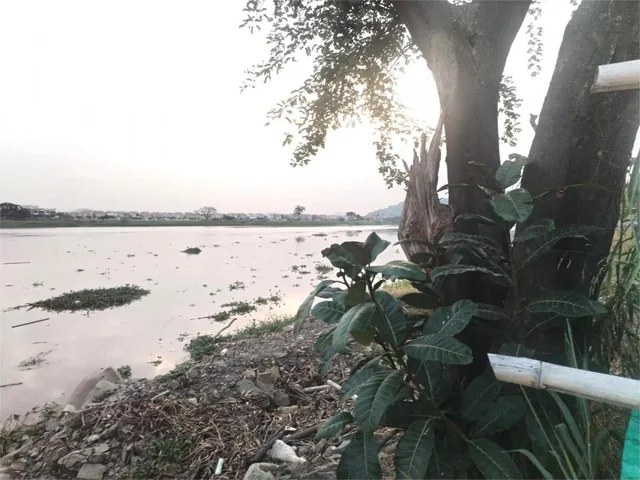 Venta de Terrenos a Pocos m del Río Daule, Portón del Rio (Vicrieel), Guayas — imagen 4