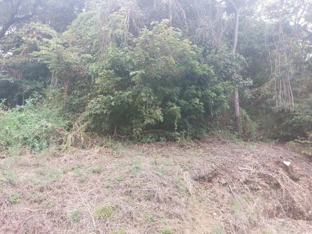 Terreno de Venta en La Urbanización Lago de Capeira, 1295 m². Guayas — imagen 5