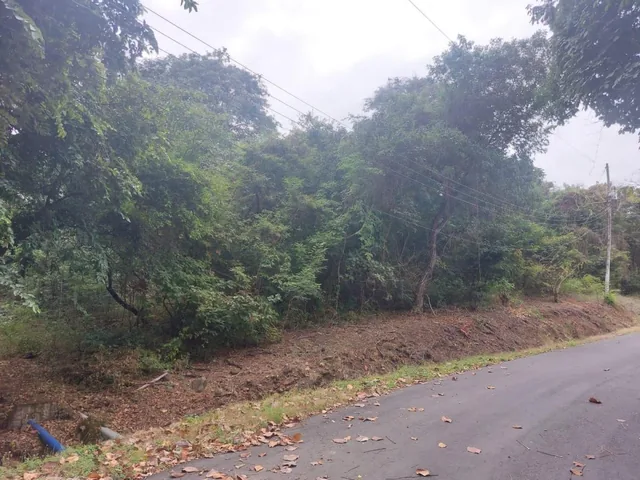 Terreno de Venta en La Urbanización Lago de Capeira, 1295 m². Guayas — imagen 3