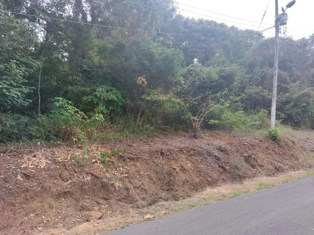 Terreno de Venta en La Urbanización Lago de Capeira, 1295 m². Guayas — imagen 2