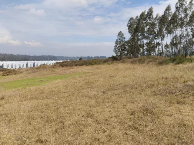 Pifo, Venta Espectacular Terreno 9.954,67 Ubicado Dentro del Parque Industrial — imagen 3