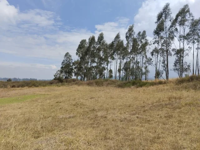 Pifo, Venta Espectacular Terreno 9.954,67 Ubicado Dentro del Parque Industrial — imagen 2
