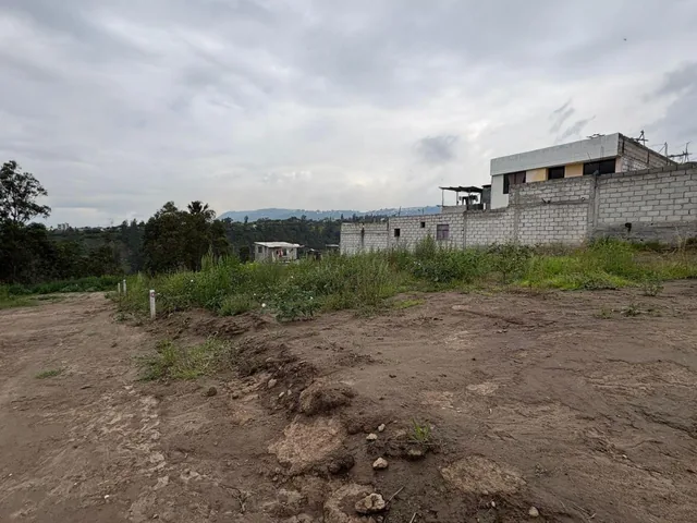 Terreno en Venta Sector Llano Grande, San Juan Loma Alto — imagen 3