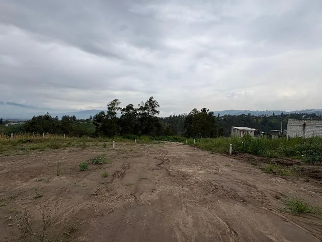 Terreno en Venta Sector Llano Grande, San Juan Loma Alto — imagen 2