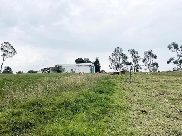 Vendo Terreno Agrícola en El Inga - Pifo — imagen 4