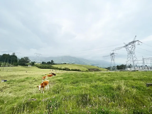 Vendo Terreno Agrícola en El Inga - Pifo — imagen 3