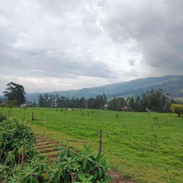 Vendo Terreno Industrial Plano Independiente en Tambillo — imagen 4