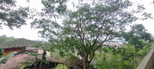 Propiedad con Vista Privilegiada en El Corazón de Montañita - Mlvillegas - Alblum — imagen 4