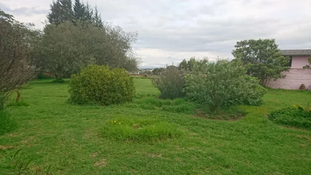 Venta de Terreno en Tumbaco Cerca de La Ruta Viva Altura de La Morita — imagen 5