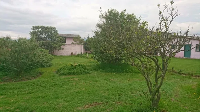 Venta de Terreno en Tumbaco Cerca de La Ruta Viva Altura de La Morita — imagen 2