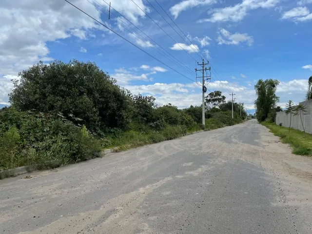 En Venta Terreno 6.4 Has, Via Al Aeropuerto, Sector, Sector Tabalela — imagen 4