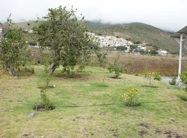 Venta - Terreno - Pomasqui - Norte - Quito — imagen 2