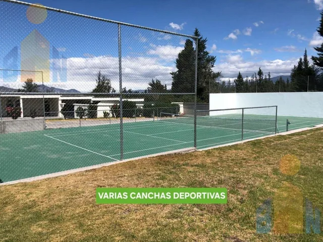 Terreno - Checa — imagen 4