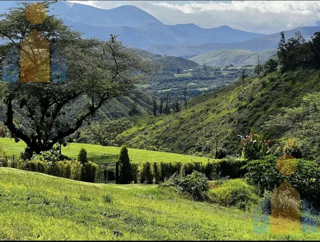 Terreno - Checa — imagen 3