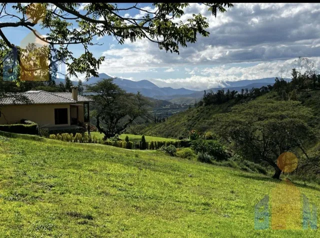 Terreno - Checa — imagen 2