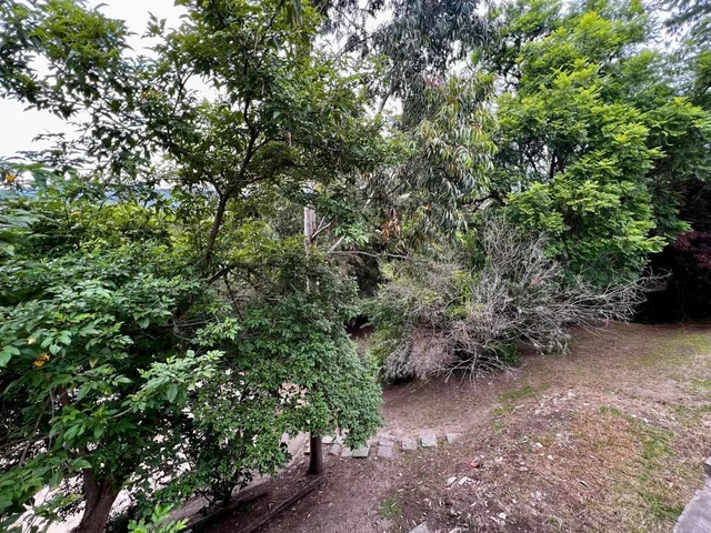 La Viña Excelente Terreno 1370 m. $356.000 — imagen 5