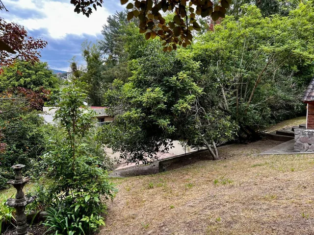 La Viña Excelente Terreno 1370 m. $356.000 — imagen 3