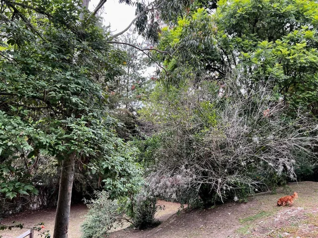 La Viña Excelente Terreno 1370 m. $356.000 — imagen 2