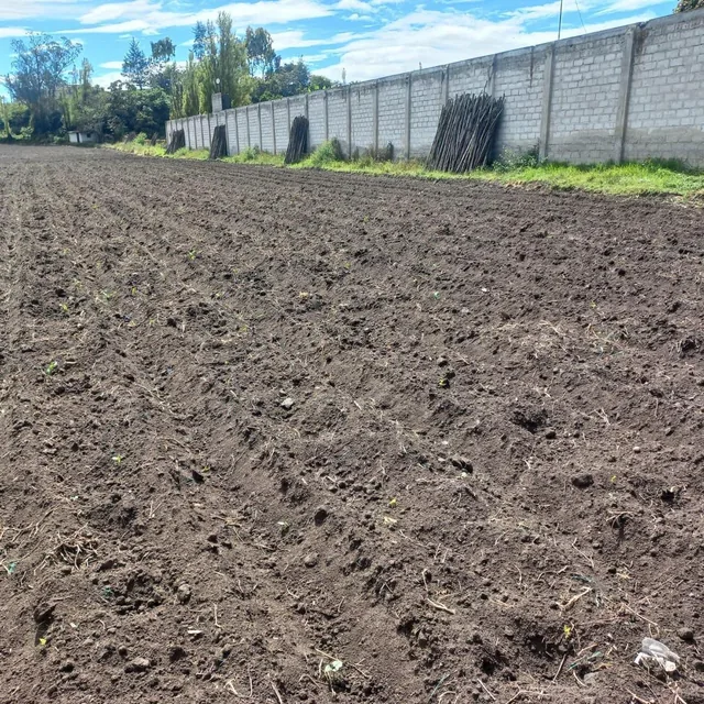 Terreno en Atuntaqui, Imbabura — imagen 3