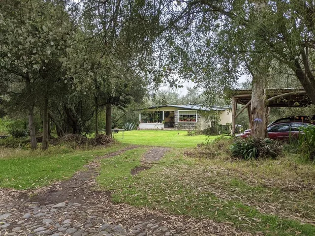 Vendo Terreno en Pifo — imagen 3