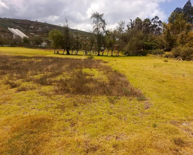 Hermosos Lotes en Venta. Samanga. Ambato, Tungurahua — imagen 2