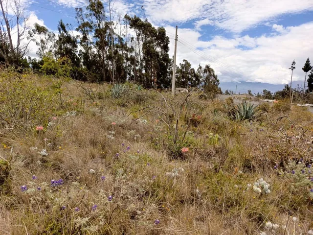 Terreno en Venta en Tisaleo. Tungurahua a La Av, Tungurahua — imagen 5