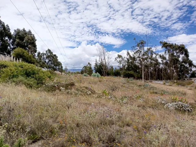 Terreno en Venta en Tisaleo. Tungurahua a La Av, Tungurahua — imagen 3