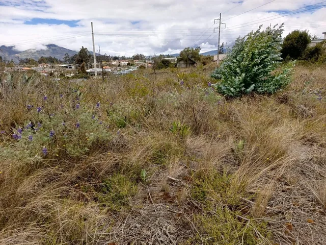 Terreno en Venta en Tisaleo. Tungurahua a La Av, Tungurahua — imagen 2