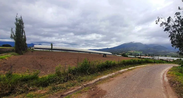 Terrenos en Venta en Atuntaqui - Sector Ontañon Lotes de 2160 m², Imbabura — imagen 2