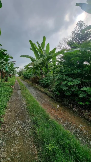 Terreno en Venta en Milagro Ings, Guayas — imagen 2