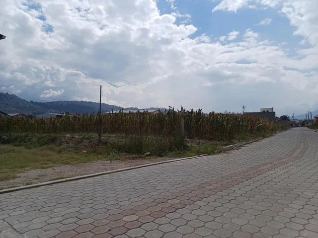 Venta Terreno 9000 m² Sector Llano Grande — imagen 4