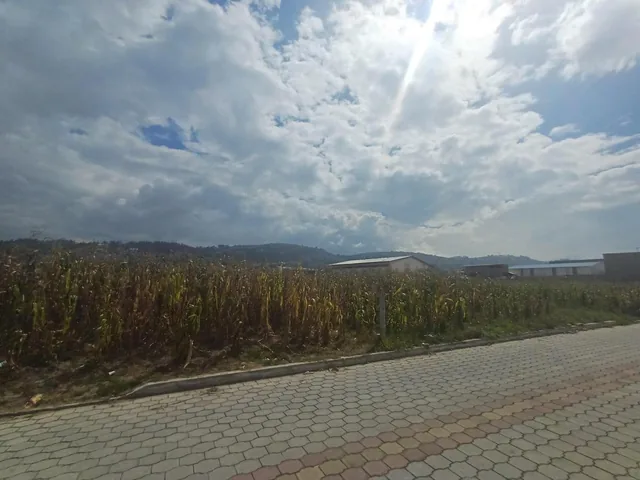 Venta Terreno 9000 m² Sector Llano Grande — imagen 3