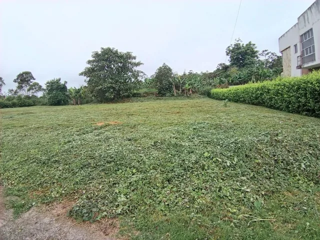 Terreno en Santo Domingo — imagen 3