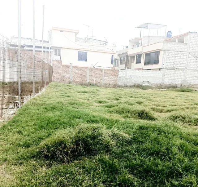 Excelente Terreno en Venta Para Proyectos Habitacionales, Tungurahua — imagen 2