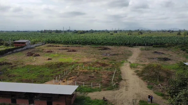 Terreno en Venta en Yaguachi Ings, Guayas — imagen 2