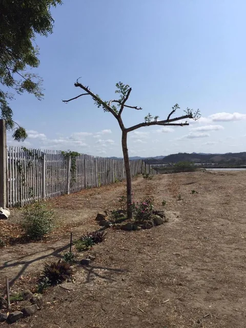 Terreno de Venta en Urbanización en San Jacinto, Manabí — imagen 4