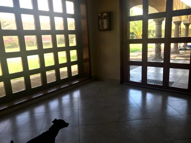 Vendo Casa Quinta, en Pomasqui — imagen 3