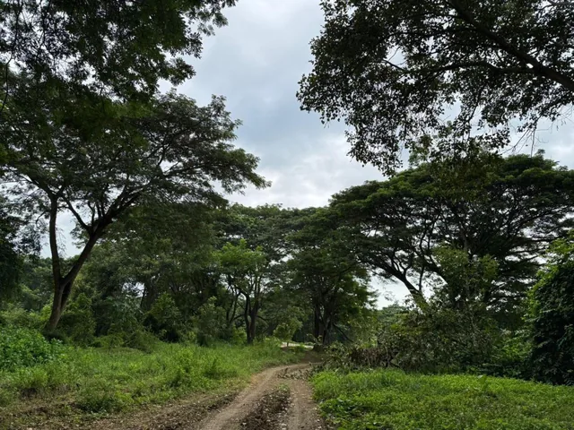Vendo Macrolote en La Zona del Km 22 Via a La Costa Guayaquil, Guayas — imagen 4
