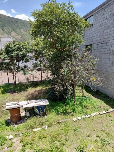 Casa Comercial de 357 m² Más 160 m² de Terreno en Venta en Puéllaro — imagen 2