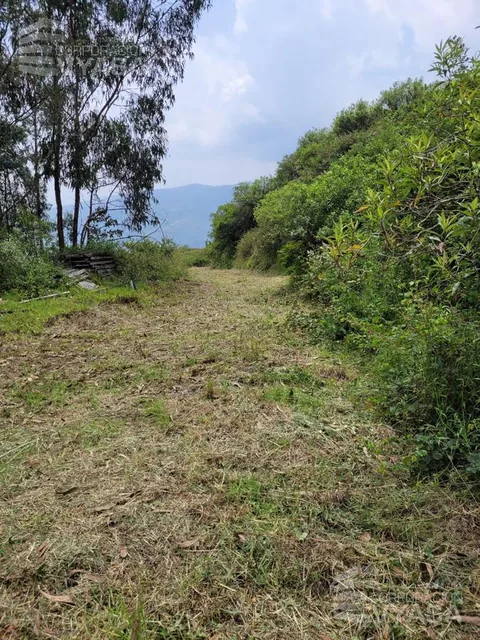 Cumbayá - Yanazarapata, Terreno en Venta de 2.800 m², Ideal Para Proyecto — imagen 5