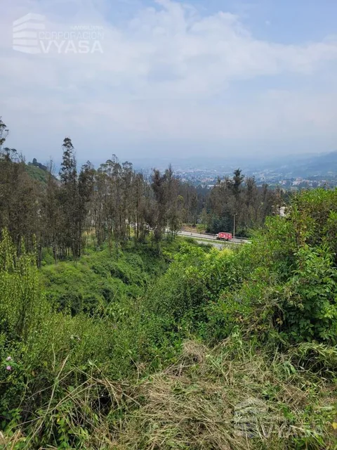 Cumbayá - Yanazarapata, Terreno en Venta de 2.800 m², Ideal Para Proyecto — imagen 2