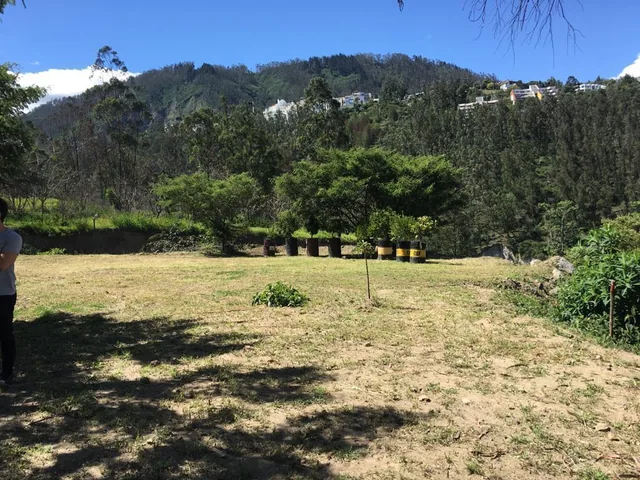 Vendo Terreno en Cumbaya — imagen 4