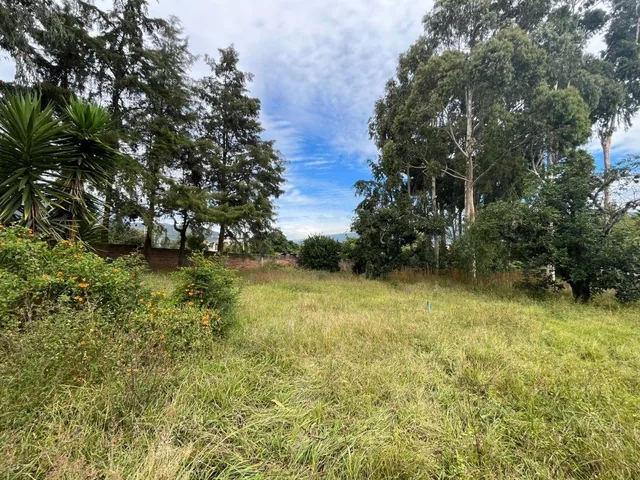 Venta Terreno 1 Hectárea Tumbaco – Alto Potencial Comercial E Inmobiliario — imagen 5