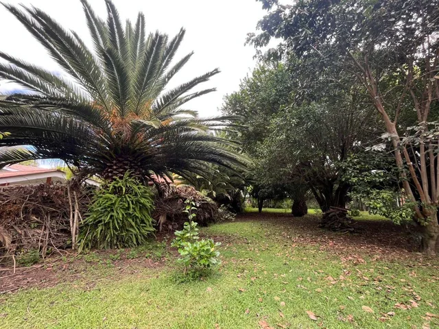 Venta Terreno 1 Hectárea Tumbaco – Alto Potencial Comercial E Inmobiliario — imagen 4