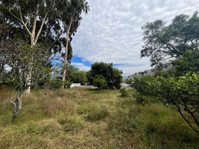Venta Terreno 1 Hectárea Tumbaco – Alto Potencial Comercial E Inmobiliario — imagen 3